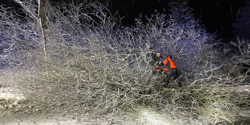 FW-EN: Baum blockiert Fahrbahn - Foto: presseportal.de