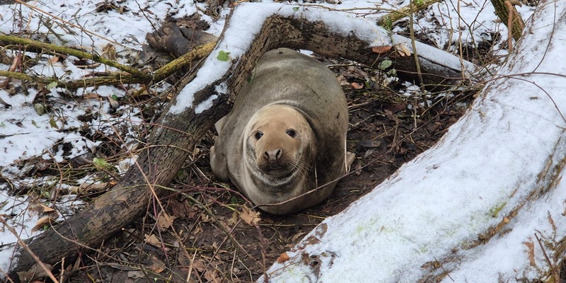 POL-RZ: Unerwarteter Gast an der Beste - Foto: presseportal.de