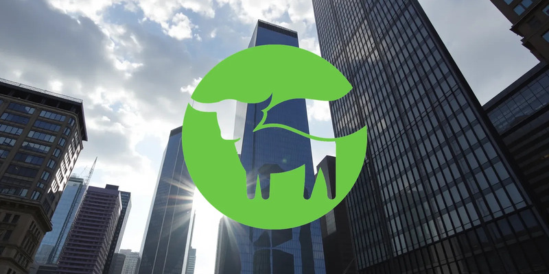 Beyond Meat Aktie: Sammelklagen - Foto: über boerse-global.de