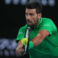 Novak Djokovic lieferte sich mit Jannik Sinner einen tollen Fight über fünf Sätze. - Foto: Asanka Brendon Ratnayake/AP/dpa