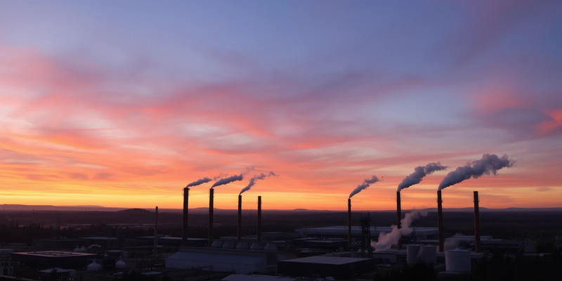 Bogota Financial Aktie: Schwäche vor Zahlen - Foto: über boerse-global.de