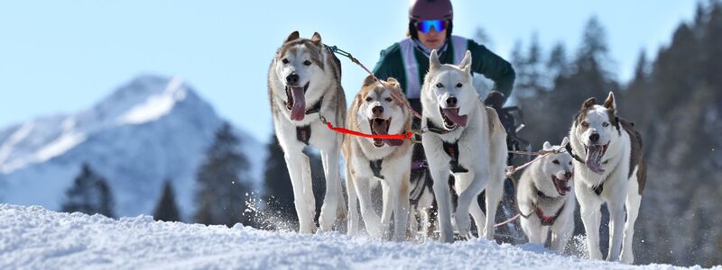 Die Strecke gilt als technisch anspruchsvoll. - Foto: Karl-Josef Hildenbrand/dpa