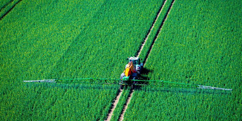 Pflanzenschutzmittel belasten Nützlinge im Boden (Archivbild) - Foto: Jens Büttner/dpa