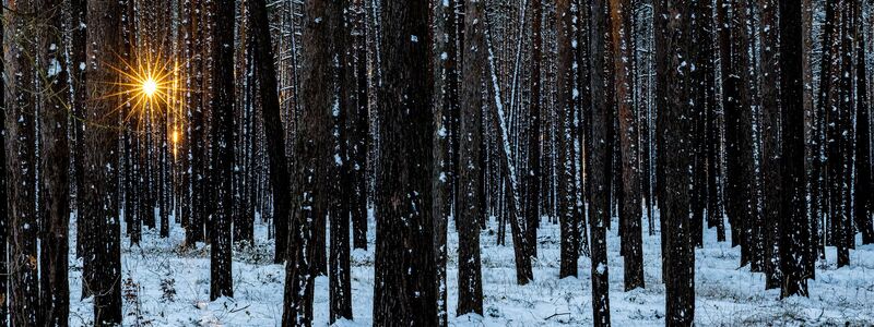 Im Winter muss der Körper auf die Vitamin-D-Speicher im Körper zugreifen. (Symbolbild) - Foto: Frank Hammerschmidt/dpa