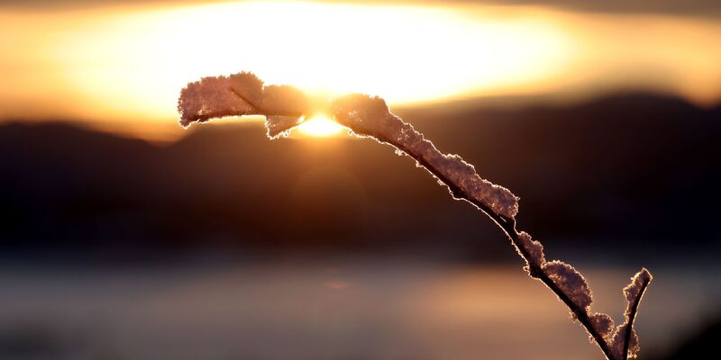 Zeitweise sonnig: Darauf können sich die Menschen am Montag im Nordosten sowie ganz im Süden freuen. (Archivbild) - Foto: Karl-Josef Hildenbrand/dpa