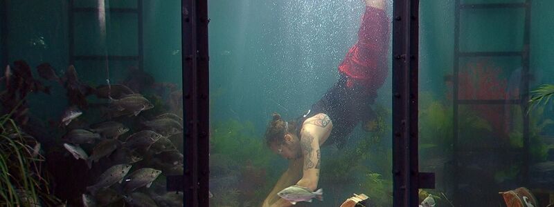 Gil Ofarim tauchte bei der Dschungelprüfung ab. - Foto: RTL/dpa