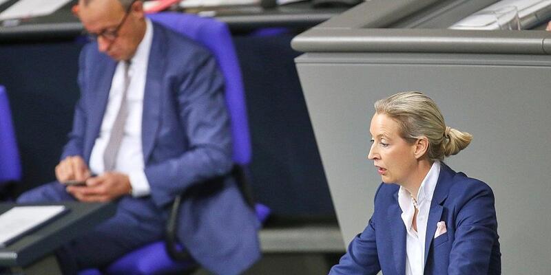 Friedrich Merz und Alice Weidel am 29.01.2026 - Foto: via dts Nachrichtenagentur