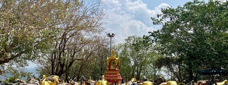 Elefanten sind Thailands Nationaltiere und werden in vielen Tempeln verehrt. (Archivbild) - Foto: Carola Frentzen/dpa