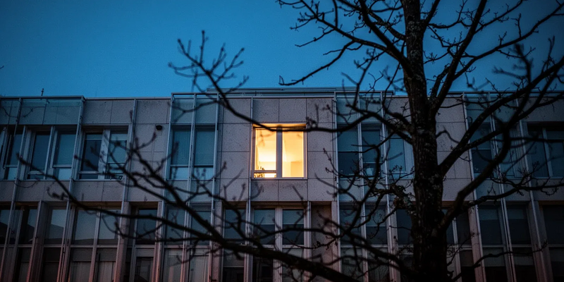 EUDR: Start verschoben, Regeln vereinfacht – Null-Risiko-Debatte bleibt - Foto: über boerse-global.de