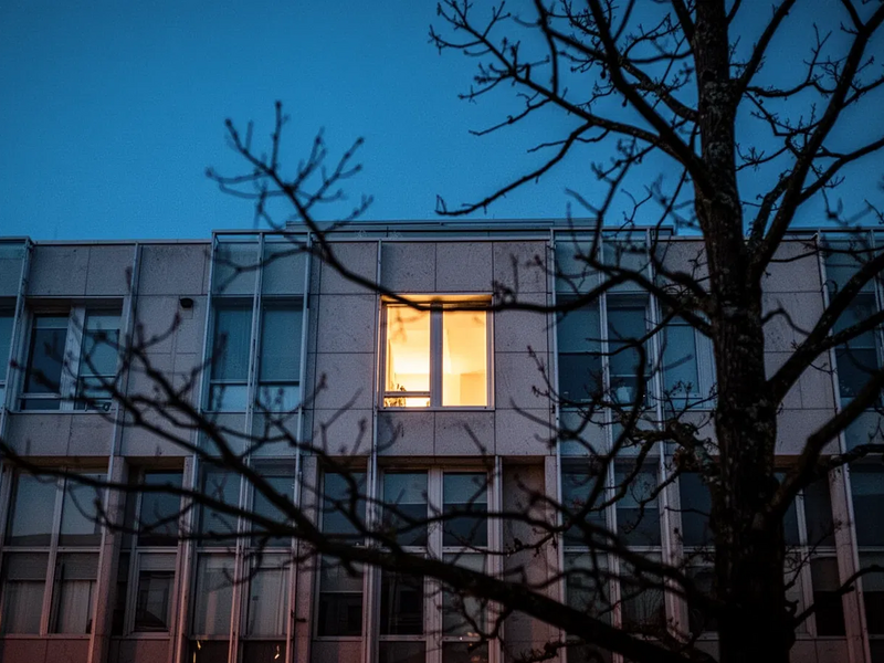 EUDR: Start verschoben, Regeln vereinfacht – Null-Risiko-Debatte bleibt - Foto: über boerse-global.de