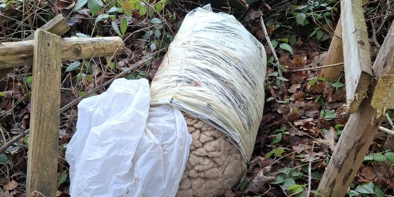 POL-UL: (BC) Ingoldingen - Tierabfälle am Waldrand entsorgt / Am Montag fand eine Spaziergängerin bei Ingoldingen Säcke mit Tierresten eines Schafes. Die hatte ein Unbekannter in den vergangen Tagen entsorgt. - Foto: presseportal.de