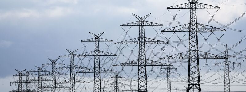 Adern der Stromversorgung - Freileitungen und Masten. (Symbolbild) - Foto: Christian Charisius/dpa