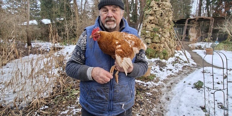 Tierische Marotte: entlaufenes Huhn Henrietta trampt gern / Gerhard Wendl vom Vogelnotruf in Olching im Gespräch mit SWR3 / Happy End: Besitzerin identifiziert Huhn mittels Fotovergleich - Foto: presseportal.de