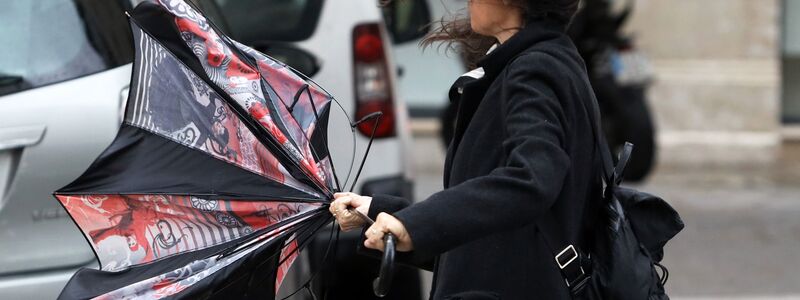 Auch in Spanien wurde weiterer Sturm mit starken Niederschlägen erwartet. Ein Regenschirm wie hier in Málaga hilft da kaum. (Archiv-Bild) - Foto: Álex Zea/EUROPA PRESS/dpa