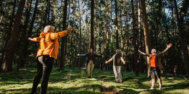 Gesundheit wächst im Wald / Warum Kur- und Heilwälder in Ostbayern zu modernen Therapieräumen werden - Foto: presseportal.de