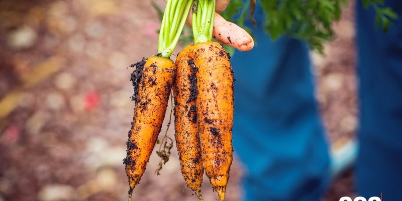 SGS erhält Zulassung als Öko-Kontrollstelle für Lebensmittel- & Futtermittelverarbeitung - Foto: presseportal.de