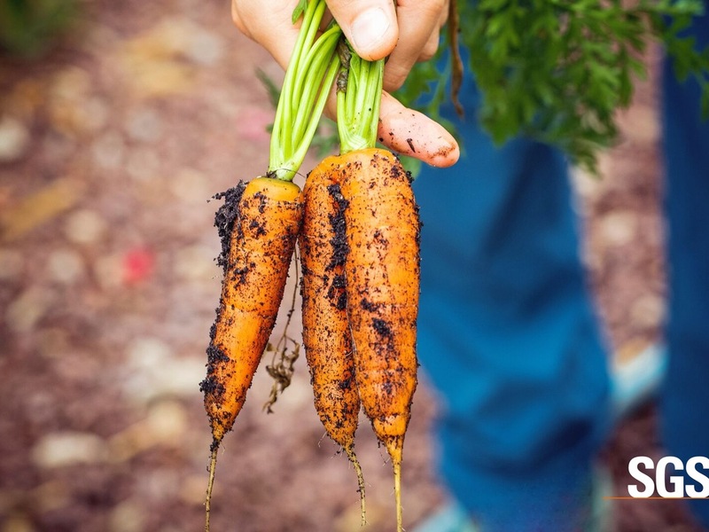 SGS erhält Zulassung als Öko-Kontrollstelle für Lebensmittel- & Futtermittelverarbeitung - Foto: presseportal.de