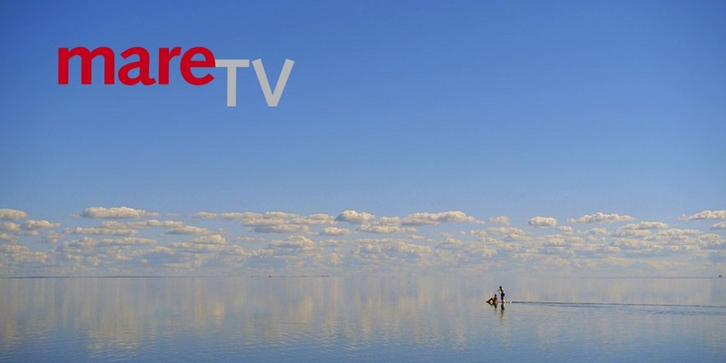 25 Jahre “mareTV” – Jubiläum der beliebten NDR Meeressendung - Foto: presseportal.de