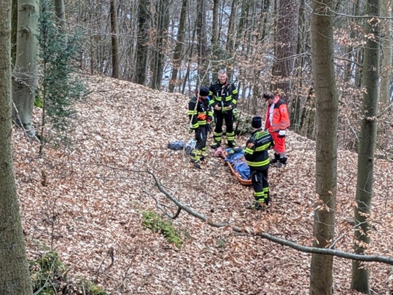 FW-M: Aufwendige Rettung nach Sturz im Wald (Harlaching) - Foto: presseportal.de