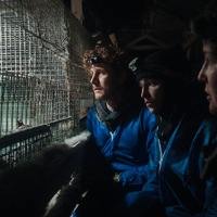 ANINOVA dokumentiert gemeinsam mit Malte Zierden und Phia Quantius Tierquälerei auf finnischen Pelzfarmen - Foto: presseportal.de