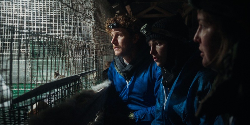 ANINOVA dokumentiert gemeinsam mit Malte Zierden und Phia Quantius Tierquälerei auf finnischen Pelzfarmen - Foto: presseportal.de