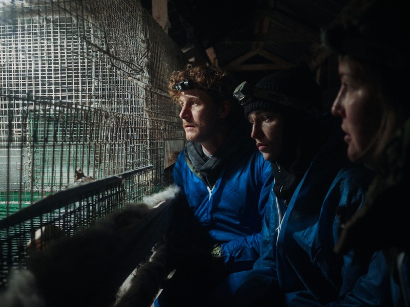 ANINOVA dokumentiert gemeinsam mit Malte Zierden und Phia Quantius Tierquälerei auf finnischen Pelzfarmen - Foto: presseportal.de