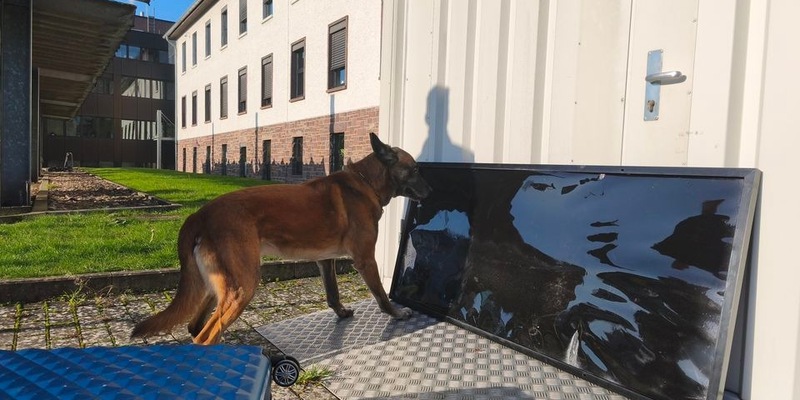 POL-HX: Polizeihund Lemmy erschnüffelt 65 Kilogramm Drogen-Pillen - Foto: presseportal.de