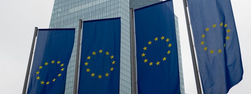 Die Leitzinsen der Europäischen Zentralbank haben weitreichende Auswirkungen an den Finanzmärkten: Sie beeinflussen etwa die Kreditzinsen für Unternehmen sowie die Sparzinsen. - Foto: Florian Wiegand/dpa