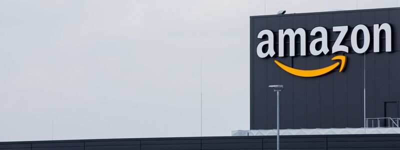 Unternehmen mit großer Marktmacht: Rund 60 Prozent des Umsatzes im Online-Handel in Deutschland entfällt auf Amazon. - Foto: Rolf Vennenbernd/dpa