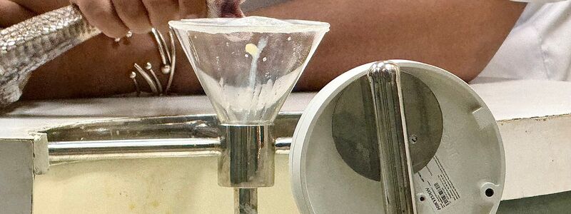 In der Schlangenfarm in Bangkok können Besucher beobachten, wie Schlangen gemolken werden. - Foto: Carola Frentzen/dpa