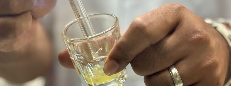 Das gefährliche Gift ist gelblich und zäh - und wichtig für die Produktion von Antiserum. - Foto: Carola Frentzen/dpa