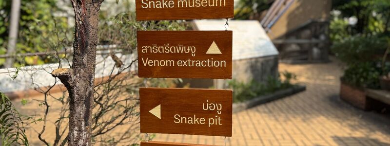 Die Schlangenfarm zur Gewinnung von Antiserum ist eine der ältesten ihrer Art weltweit. - Foto: Carola Frentzen/dpa