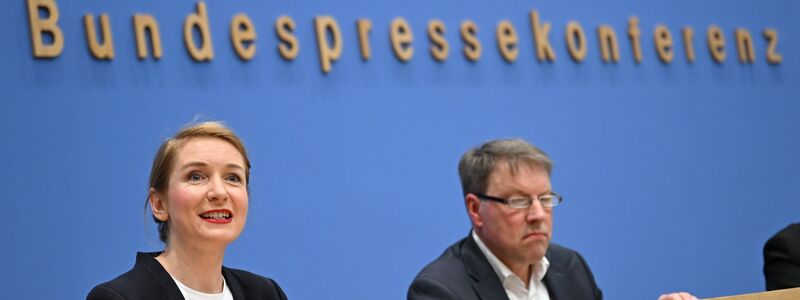 Das DIW hat mögliche Steuereinnahmen im Auftrag der Linken berechnet - die Ergebnisse stellten Parteichefin Ines Schwerdtner und Forscher Stefan Bach vor.  - Foto: Elisa Schu/dpa