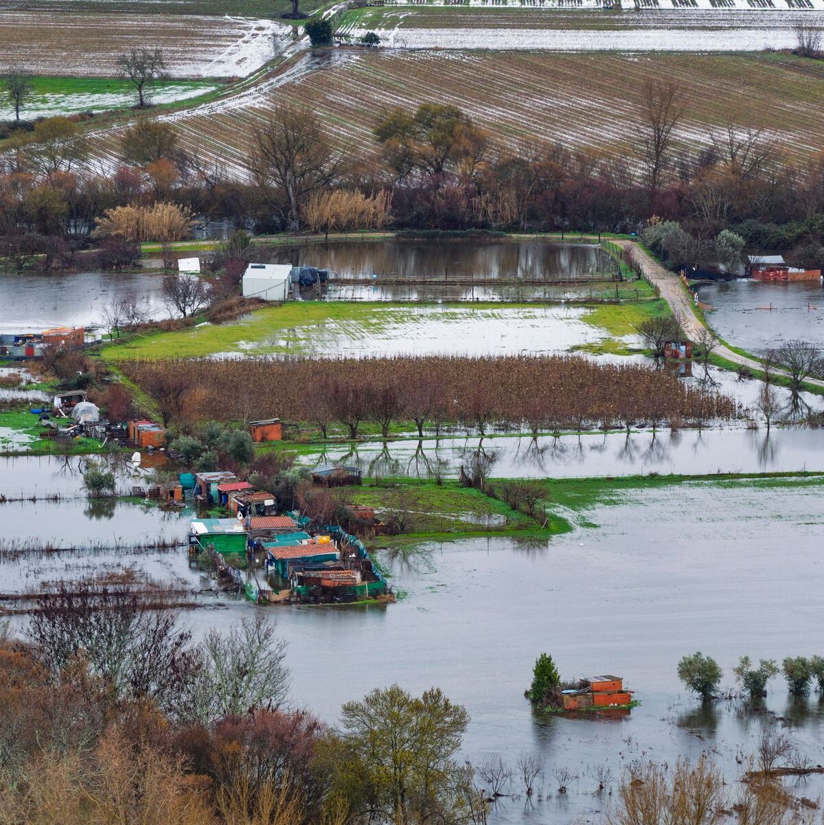 Nach einer ganzen Serie von Winterstürmen stehen in Teilen Portugals und wie hier in der spanischen Extremadura weite Landstriche unter Wasser. - Foto: Carlos Criado/EUROPA PRESS/dpa