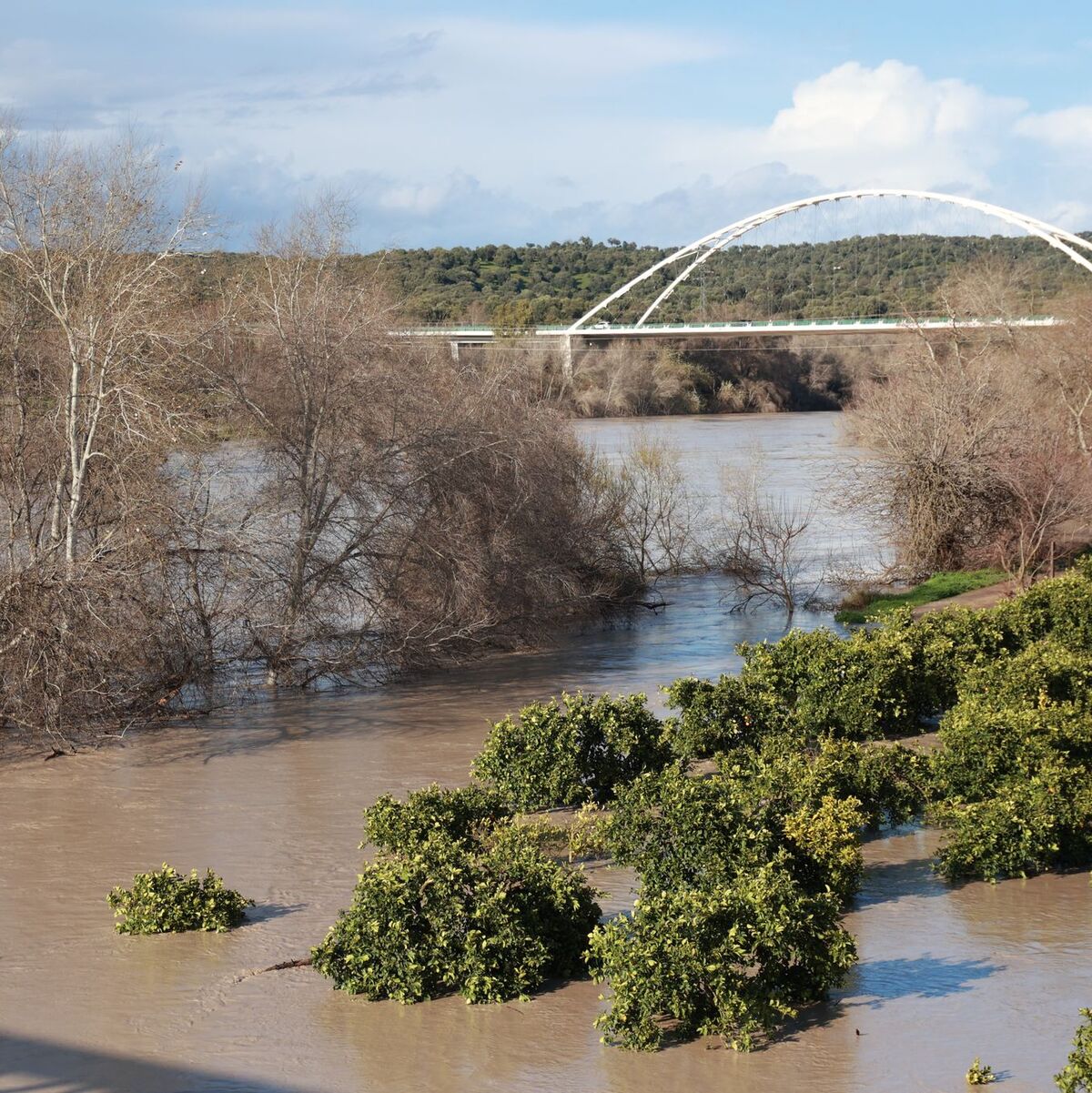Trotz einer leichten Wetterbesserung am Freitag traten viele Flüsse im südspanischen Andalusien wie hier der  Guadalquivir über die Ufer. - Foto: Rocío Ruz/EUROPA PRESS/dpa