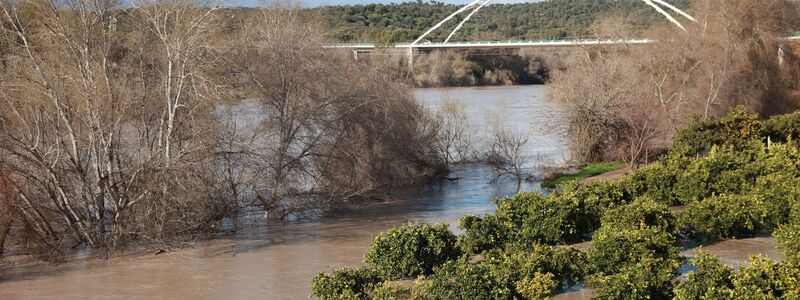 Trotz einer leichten Wetterbesserung am Freitag traten viele Flüsse im südspanischen Andalusien wie hier der  Guadalquivir über die Ufer. - Foto: Rocío Ruz/EUROPA PRESS/dpa
