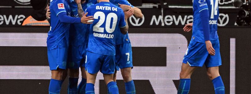 Leverkusen jubelt über den Ausgleich.  - Foto: Federico Gambarini/dpa