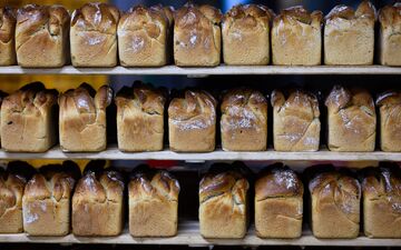 Die kleinen und mittelständischen Unternehmen in Deutschland geraten wirtschaftlich stärker unter Druck (Archivbild).  - Foto: Bernd von Jutrczenka/dpa