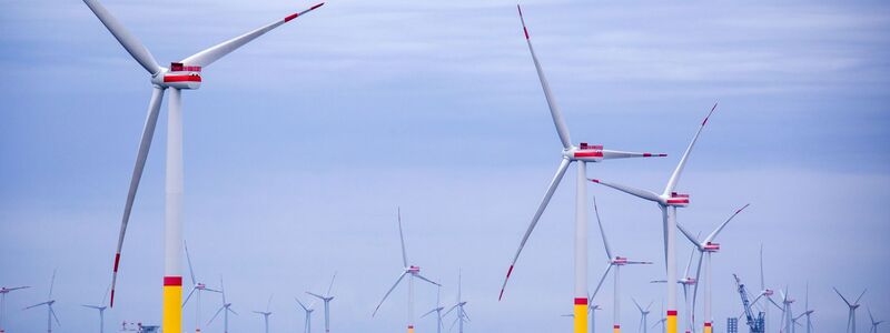 Die Windparks in der Ostsee produzierten nach Angaben des Netzbetreibers 50Hertz im vergangenen Jahr etwa zehn Prozent mehr Strom als im Jahr zuvor. (Archivbild)  - Foto: Jens Büttner/dpa-Zentralbild/dpa
