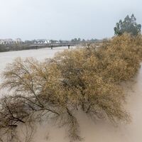 Am Samstag hatte das Sturmtief Marta zahlreiche Flüsse wie hier den Guadalquivir in Andalusien über die Ufer treten lassen. Es war bereits der siebte Atlantiksturm seit Jahresbeginn, der über Portugal und Spanien hinwegzog. - Foto: Eduardo Briones/EUROPA PRESS/dpa