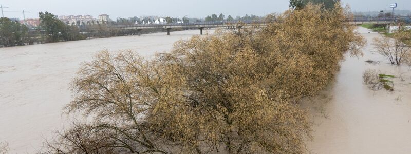 Am Samstag hatte das Sturmtief Marta zahlreiche Flüsse wie hier den Guadalquivir in Andalusien über die Ufer treten lassen. Es war bereits der siebte Atlantiksturm seit Jahresbeginn, der über Portugal und Spanien hinwegzog. - Foto: Eduardo Briones/EUROPA PRESS/dpa