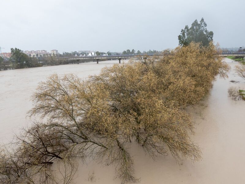 Am Samstag hatte das Sturmtief Marta zahlreiche Flüsse wie hier den Guadalquivir in Andalusien über die Ufer treten lassen. Es war bereits der siebte Atlantiksturm seit Jahresbeginn, der über Portugal und Spanien hinwegzog. - Foto: Eduardo Briones/EUROPA PRESS/dpa
