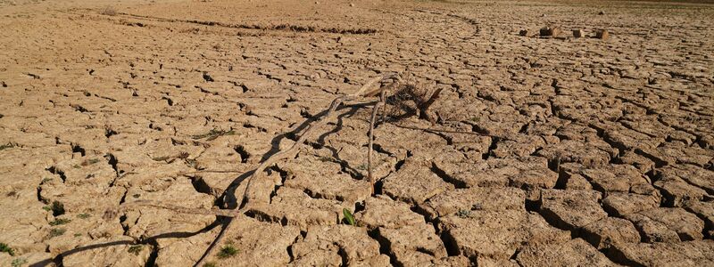 Langfristig warnen Wissenschaftler vor einer Austrocknung Südspaniens infolge des Klimawandels. - Foto: Álex Zea/EUROPA PRESS/dpa