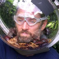 Auch das krabbeligste Getier konnte ihn nicht stoppen: Musiker Gil Ofarim ist Dschungelkönig. (Handout) - Foto: RTL/dpa