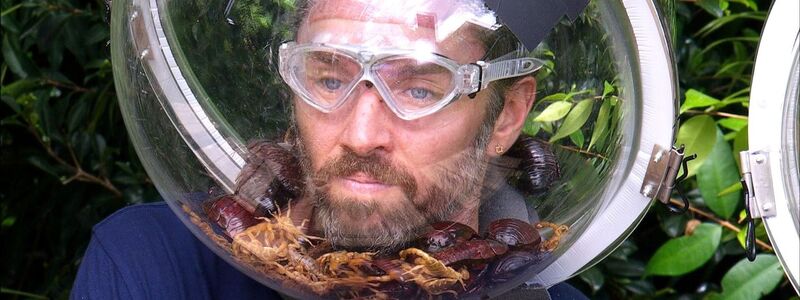 Auch das krabbeligste Getier konnte ihn nicht stoppen: Musiker Gil Ofarim ist Dschungelkönig. (Handout) - Foto: RTL/dpa