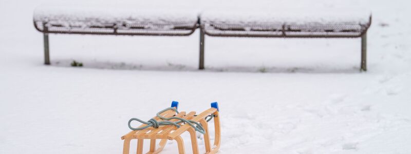 Händler melden eine deutlich höhere Nachfrage nach Produkten wie Schlitten. (Symbolbild) - Foto: Andreas Arnold/dpa