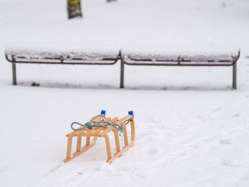Händler melden eine deutlich höhere Nachfrage nach Produkten wie Schlitten. (Symbolbild) - Foto: Andreas Arnold/dpa