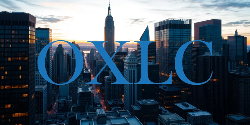 Oxford Lane Capital Adjusts Payout Strategy Amid Portfolio Valuation Challenges - Foto: über boerse-global.de