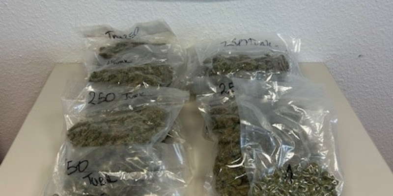 HZA-OS: Osnabrücker Zoll stellt 2 KG Marihuana und 540 Gramm 3 CMC im Zug sicher; Drogenkurier festgenommen - Foto: presseportal.de