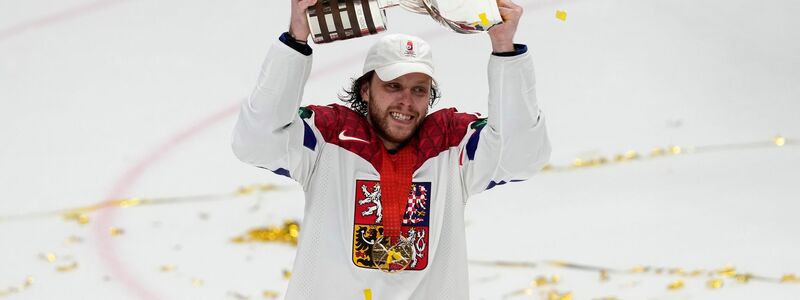 Weltmeister wurde Tschechiens Torjäger David Pastrnak bereits. (Archivbild) - Foto: Darko Vojinovic/AP/dpa
